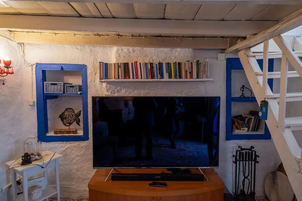 Villa Authentic Bodrum House